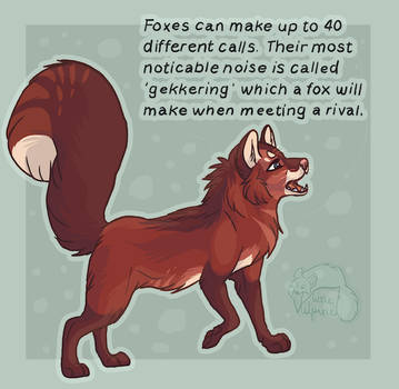 Fox facts 3