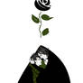 Black Rose