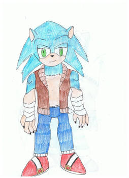 Sonic the Hedghehog Cobalt