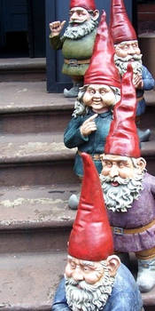 Greeted By Gnomes