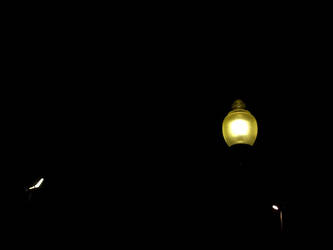 Three Lights