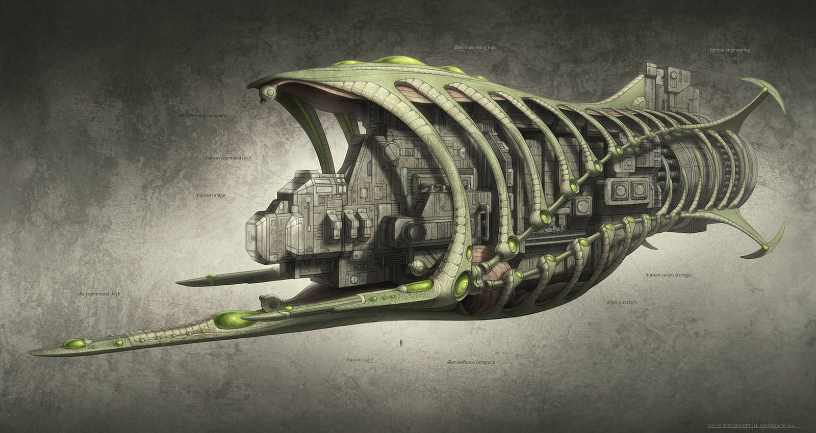 USCSS IRIS Concept by NikolayAsparuhov