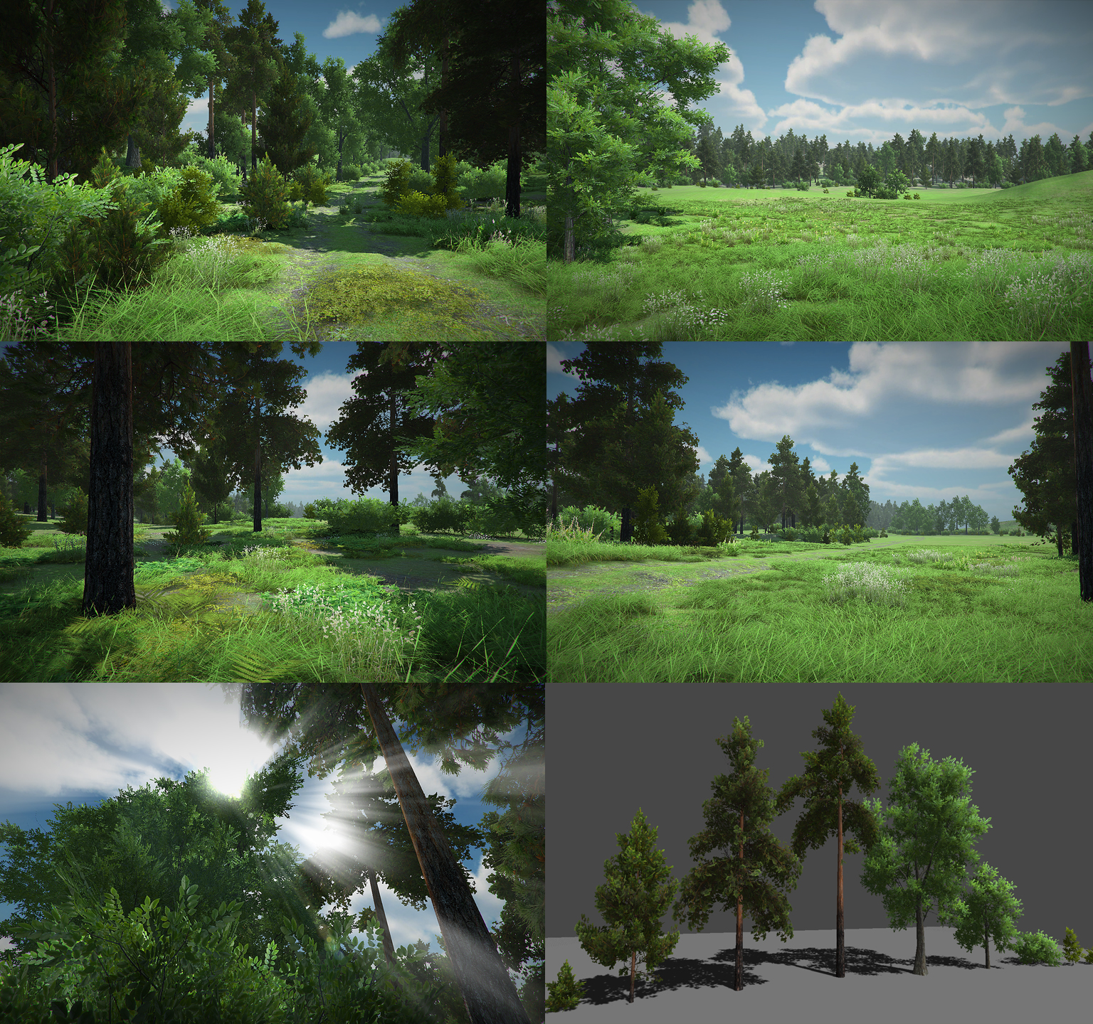 Forest assets for games