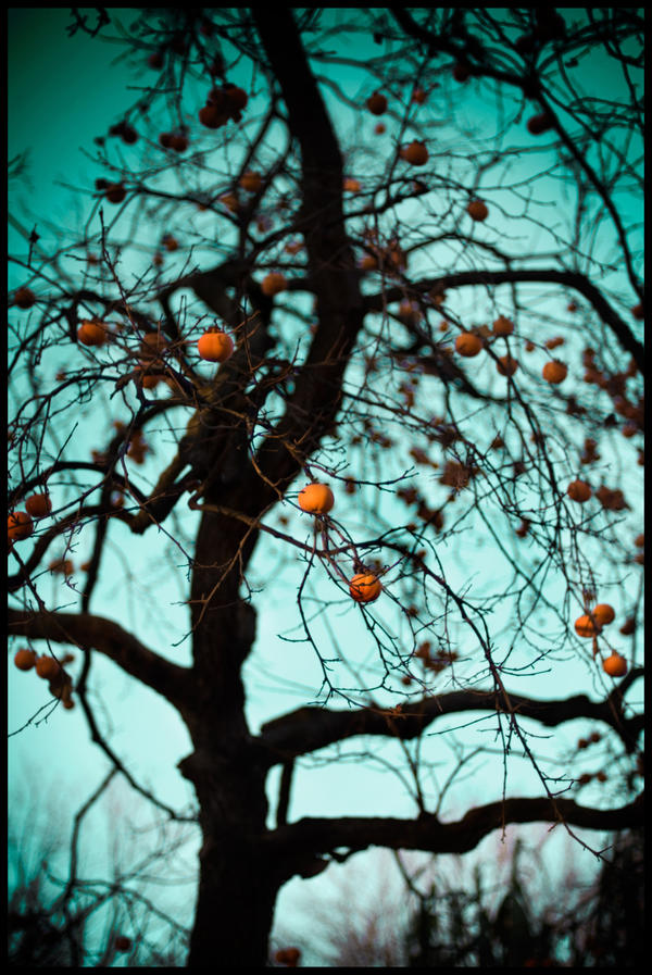 halloween tree