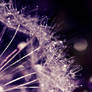 1532 - Close IV