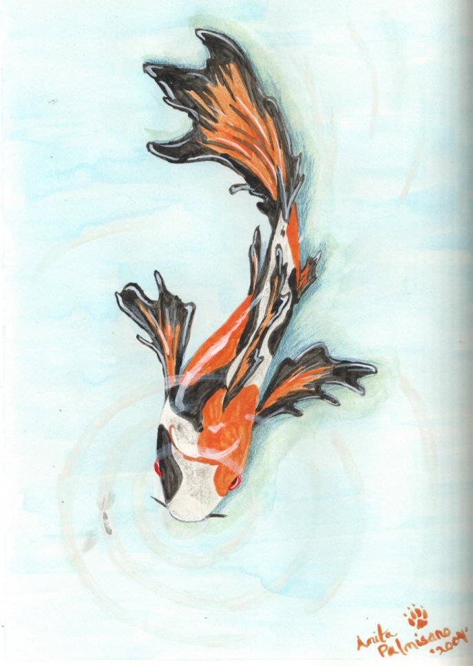 Koi Fish