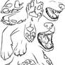 Jaws and Paws Study