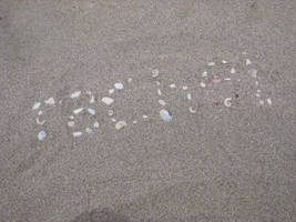 sandy-shell signature