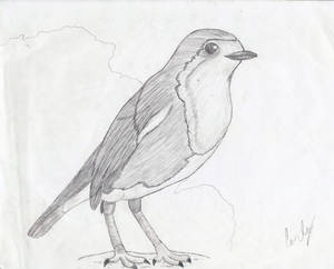 A Simple Robin