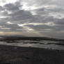 Severn beach ruined by a small pink thing!!