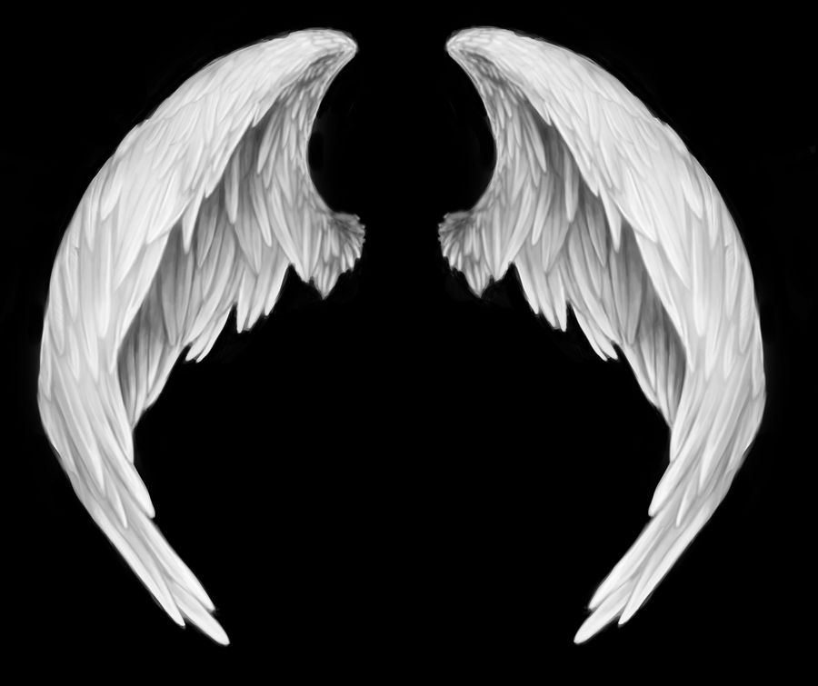 wings by RomanticFae