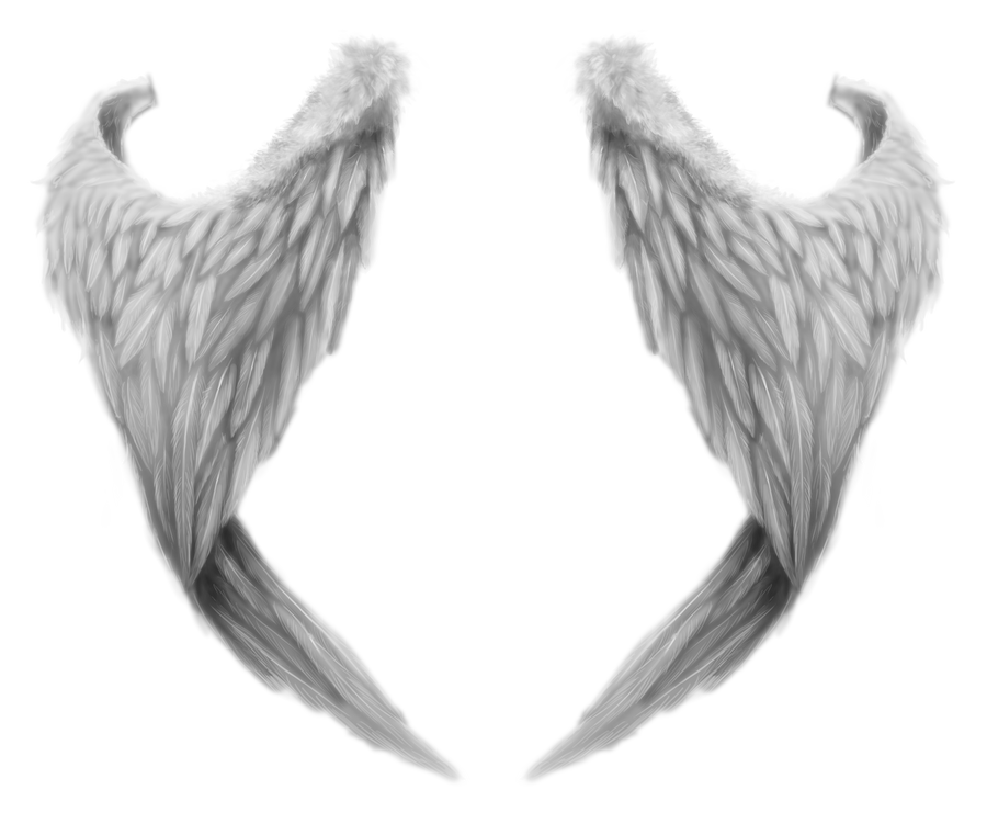 wings 2 by RomanticFae