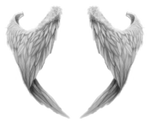 wings 2