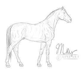 Horse Lineart