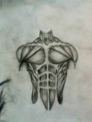 Muscles of a Torso