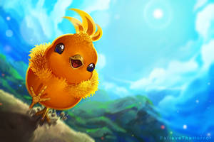 Torchic