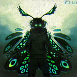 7. Moth