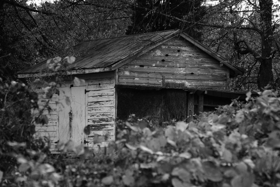 abandoned shed