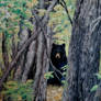 Watcher in the Wood