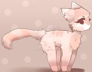 CUTE CAT ADOPTABLE ~ ClOSE