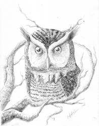 owl