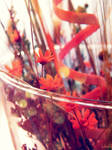 Orange. by iuliana13