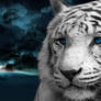 White Tiger