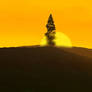 Dawn