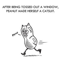 OBS - Cat peanut