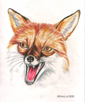 Fox