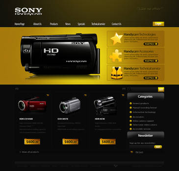 sony handycam