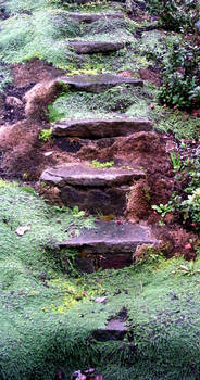 Mossy Steps