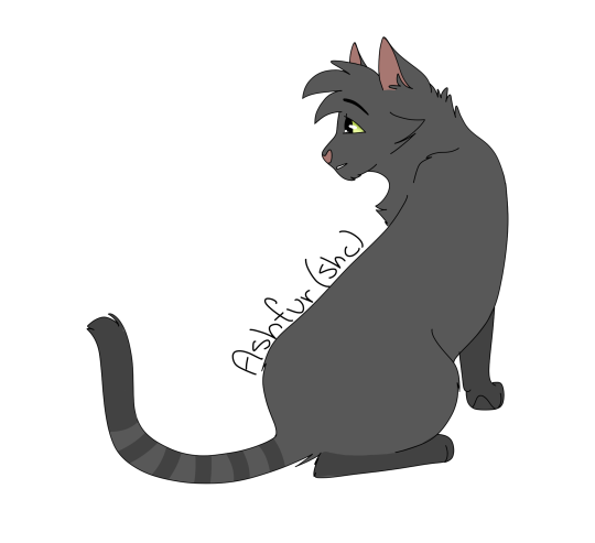 Warrior Cats - Ashfur of Shadowclan by Yarrowfoot This