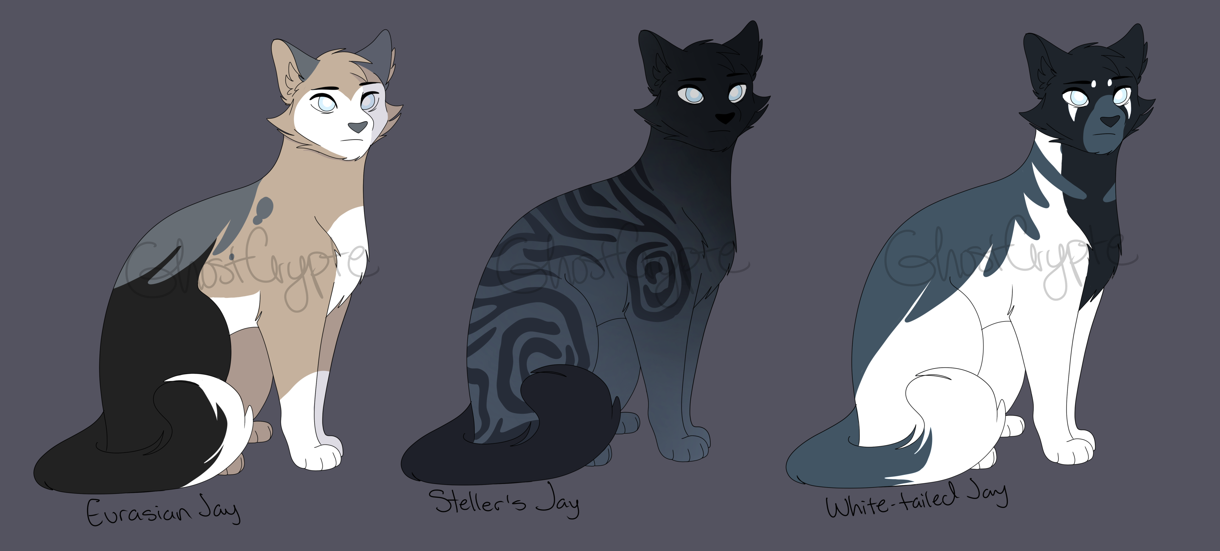 Jayfeather and the Three by Ospreyghost13 on DeviantArt