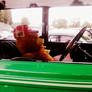 carshow bear