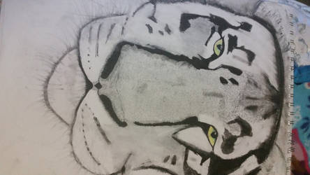 Tiger Art