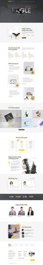 Eagle Studio - Creative PSD Template