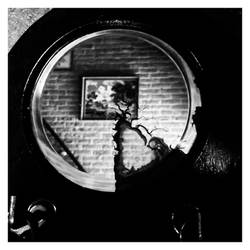 The Tainted Mirror