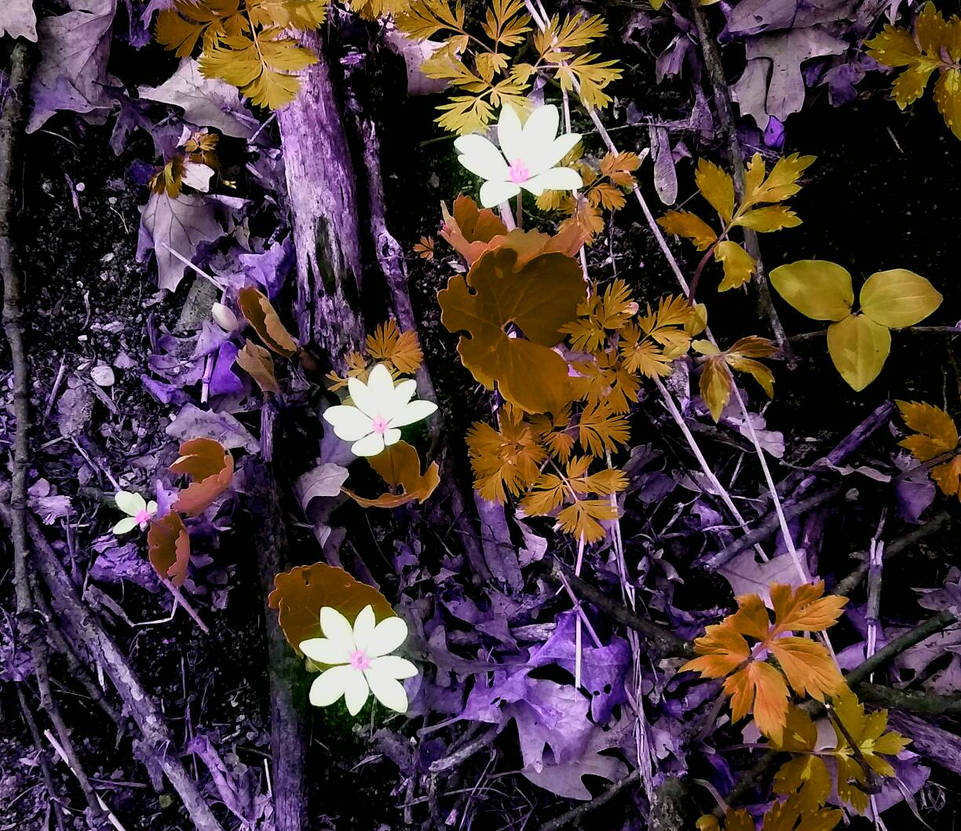 Nature Color Inverted Nature Color Inverted by Vykrolakalouvre1316 on DeviantArt