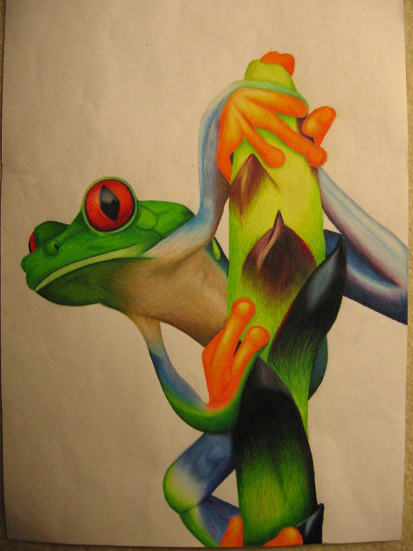 Colored Pencil Frog