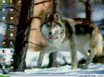 Wolf Desktop by PharaohAtisLioness