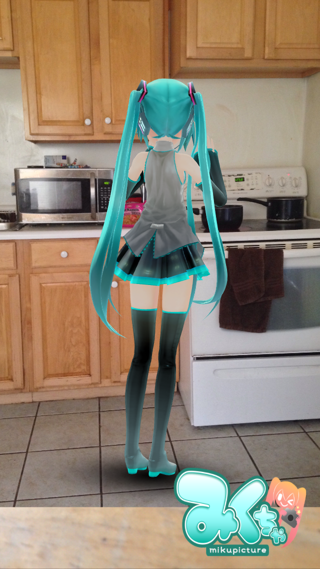 Miku Makes Lunch