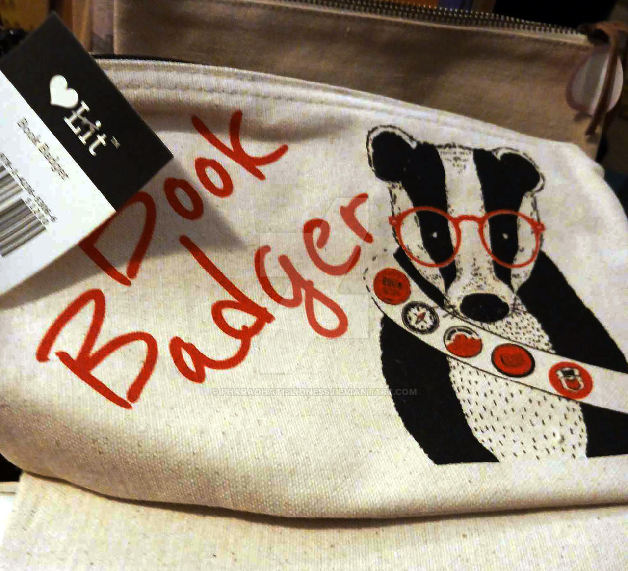 Book Badger Cute Pouch