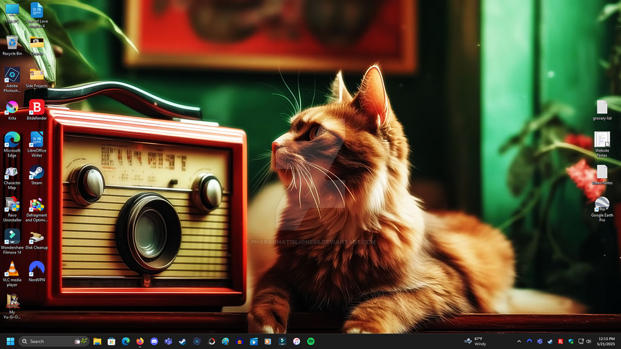 Cat And Vintage Radio Desktop - Windows 11