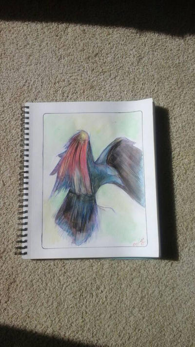 Raven 11x14  watercolor  