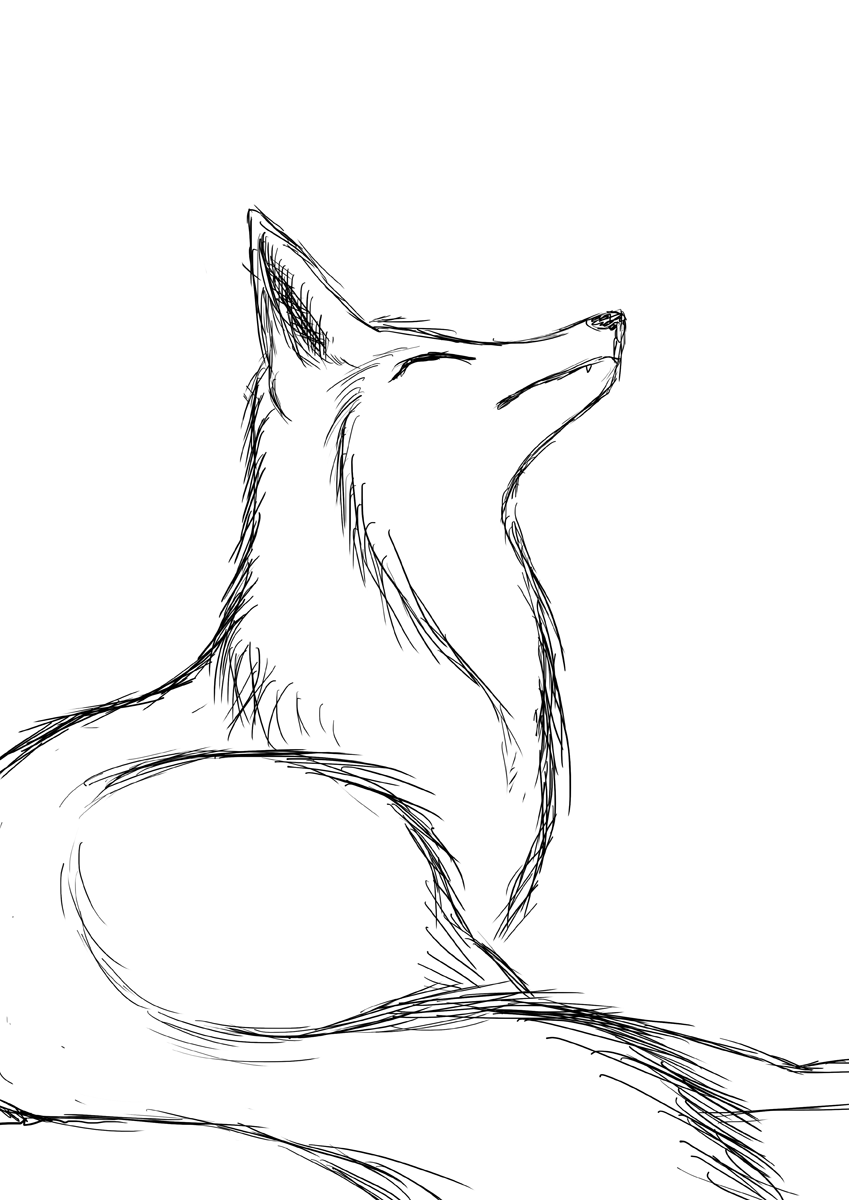 Practicing: Fox sketch