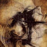 TEXTURE2