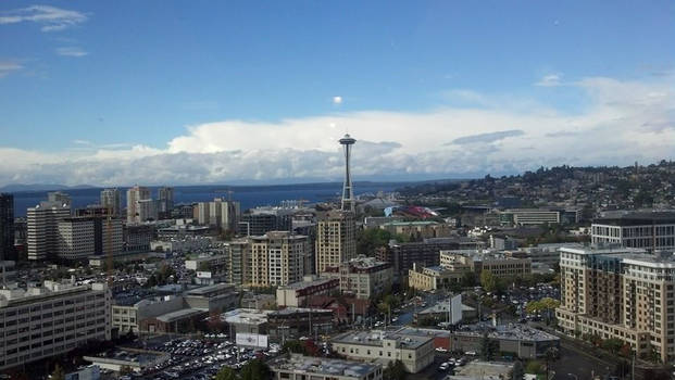 Seattle From Up High