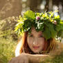 Forest fairy 4