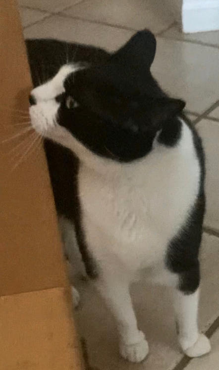 Ms Boo B o o by fcz47776 on DeviantArt